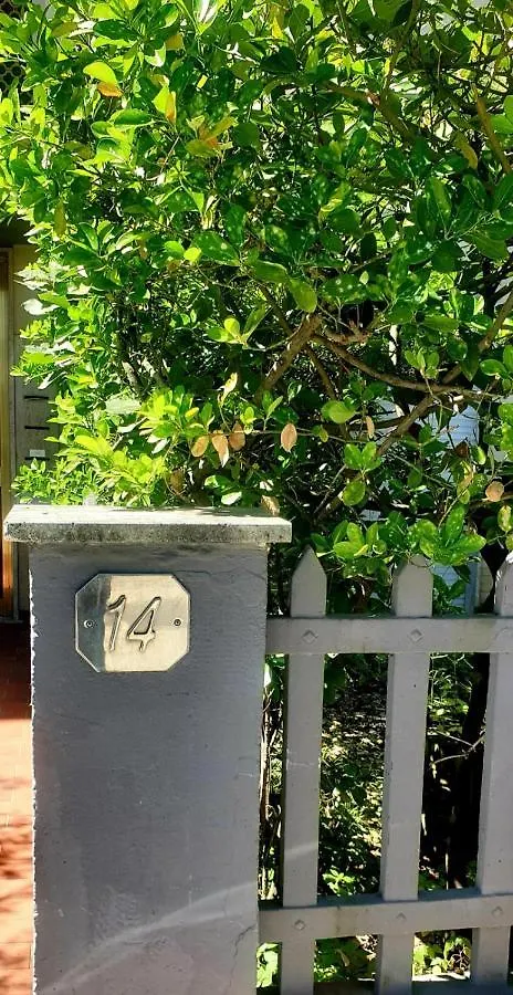 Carachouse-Lido Di Camaiore, Tra Pini Marini E Mare 0*,